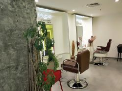 大厅-AYO SALON