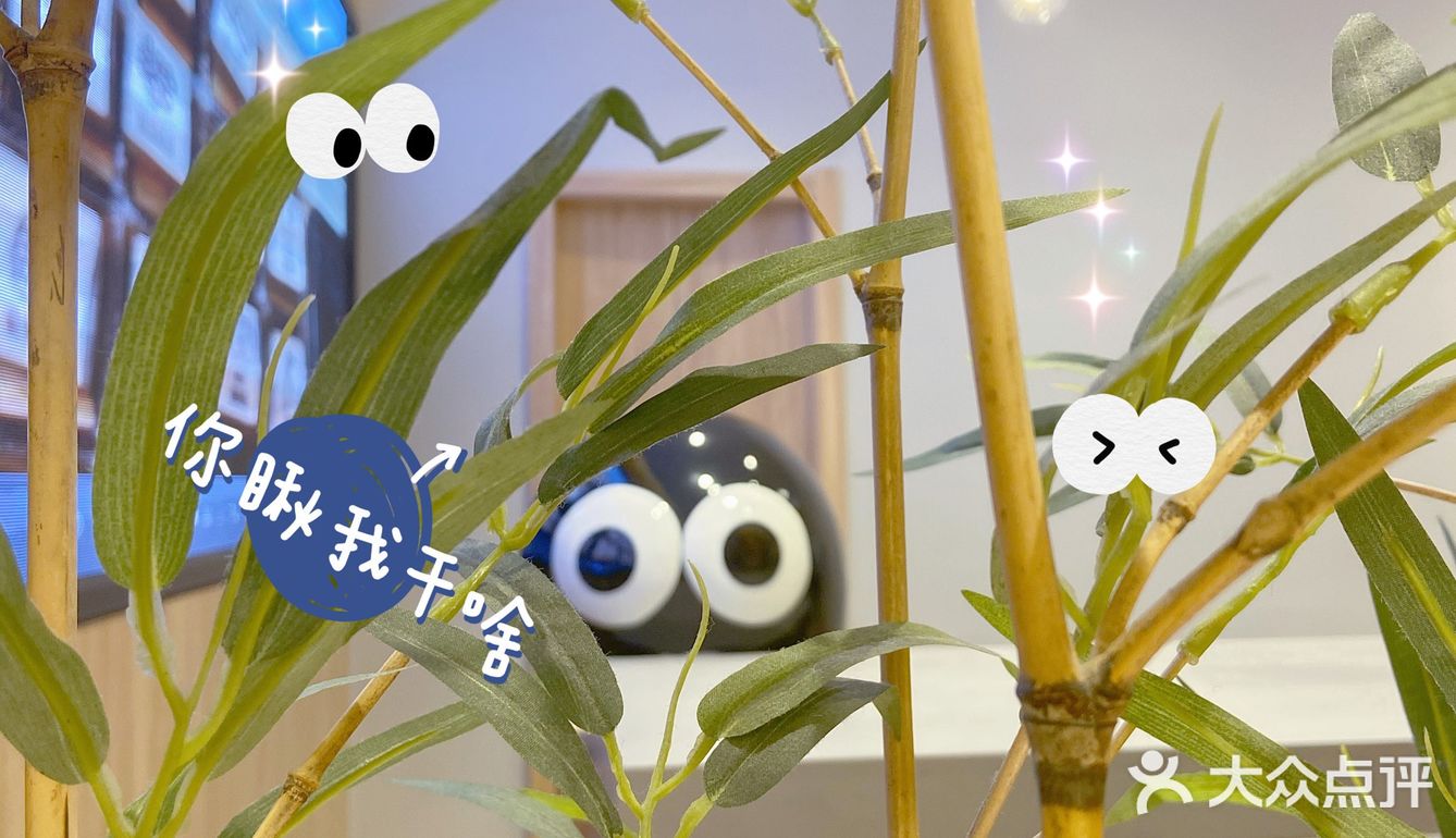 遇到小怪兽的一天!