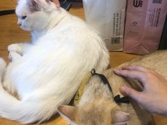 -凯德广场(武胜路店)