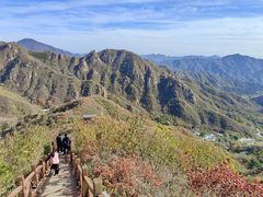 -大岭沟猕猴桃谷风景区