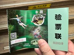 -西双版纳原始森林公园