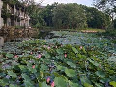 -绍兴鉴湖君澜大酒店