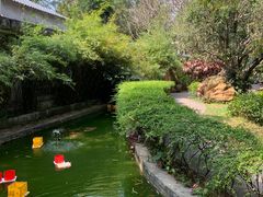 -广州兰圃