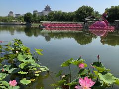 -莲花池公园