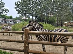 -大连森林动物园