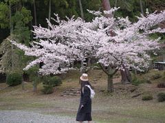 -醍醐寺