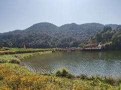 -广州市石门国家森林公园
