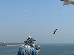 -大连老虎滩海洋公园