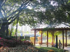 -光明港公园