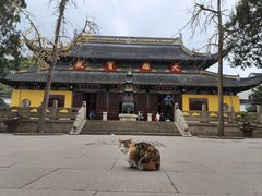 -西园戒幢律寺