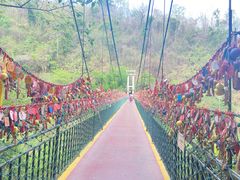 -西双版纳原始森林公园