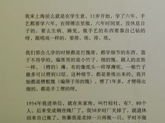 青浦区朱家角镇采访实录-徐汇艺术馆