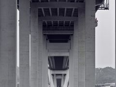 -西堤公园