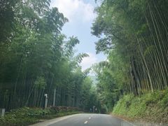 -广州市石门国家森林公园