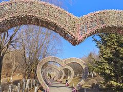 -莫子山公园