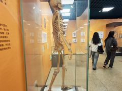 -国家自然博物馆