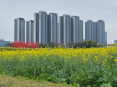 -光明小镇欢乐田园