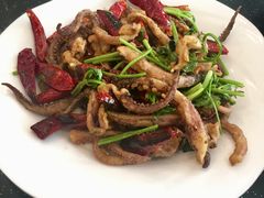 干煸鱿鱼须-胶东海鲜大排档(北太平庄店)