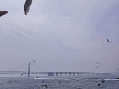 -星海广场