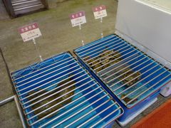 -協成海鮮火鍋(老店)