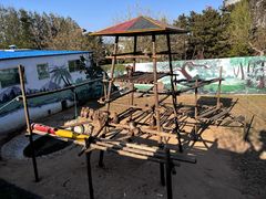 -西霞口神雕山野生动物世界