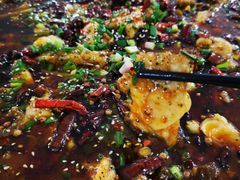 来凤鱼-瓦房兔(璧山店)