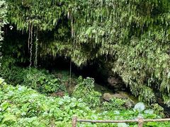 -海口火山口国家地质公园