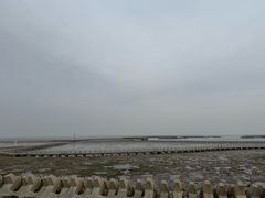 -南汇嘴观海公园