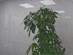 -微软surface平板笔记本电脑售后维修服务中心(虹口店)