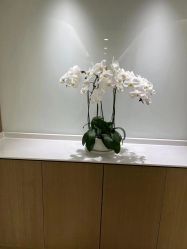 点击看大图 -丰联丽格医疗美容·联合丽格眼整形中心