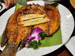 -紫滇源云南生态菜(丹凤街店)