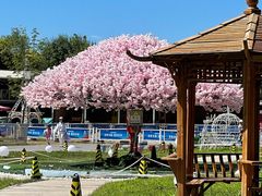 -北京鹿世界主题园