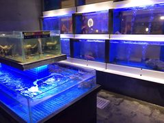 水产区-东富酒家(龙湖西溪天街店)