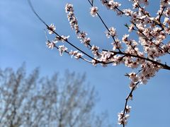 -三里河公园