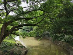 -江心屿景区