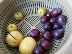 -神农美特好生鲜超市(三墙店)