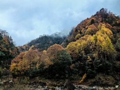 -光雾山旅游景区
