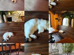 -猫岛主趣味餐厅(鼓浪屿店)