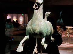 -甘肃省博物馆