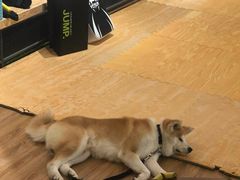 -YCHL Studios健身工作室(市二宫店)