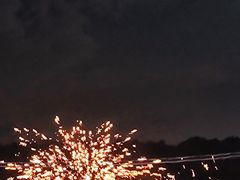 -广西壮族自治区药用植物园