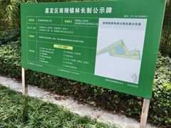 -南翔镇银翔湖公园