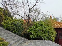 -天朝元辅-徐州民俗博物馆
