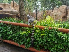 -北京野生动物园