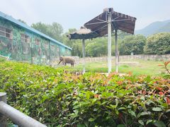 -西安秦岭野生动物园