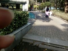 -苏州河梦清园环保主题公园