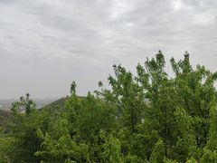 -上海佘山国家森林公园西佘山园