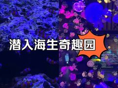 -华夏文旅西安度假区