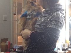 iphone_upload_pic-A+摄影