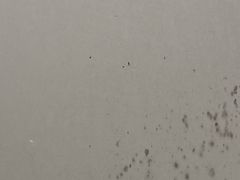 -梵臣游泳健身(康康谷店)